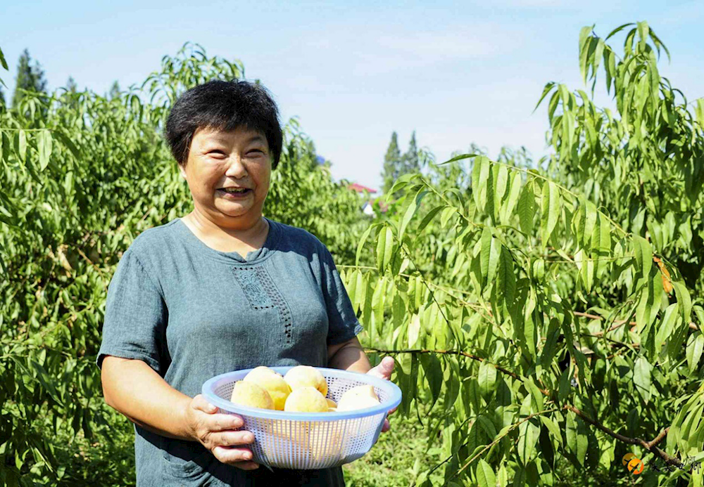 澳门新葡新京在线