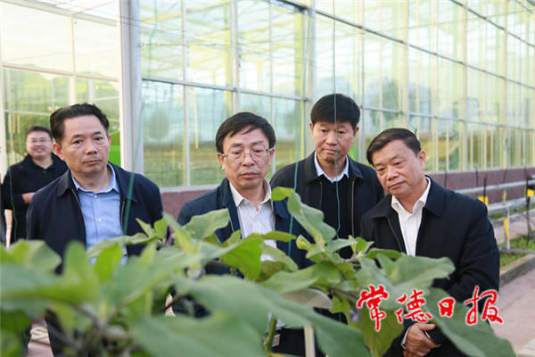 澳门新葡新京在线
