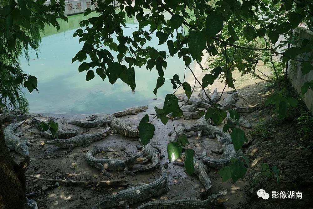 澳门新葡新京在线