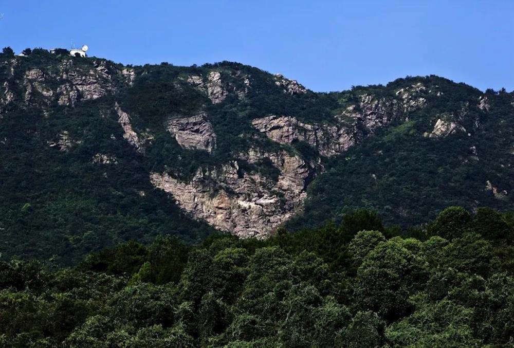 澳门新葡新京在线