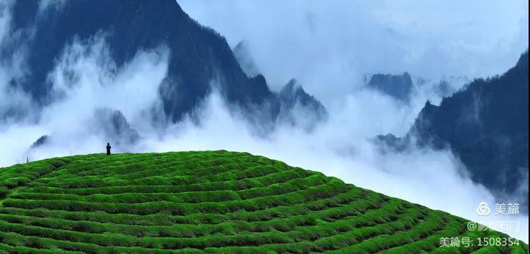 澳门新葡新京在线