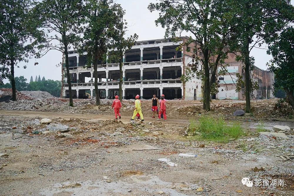 澳门新葡新京在线