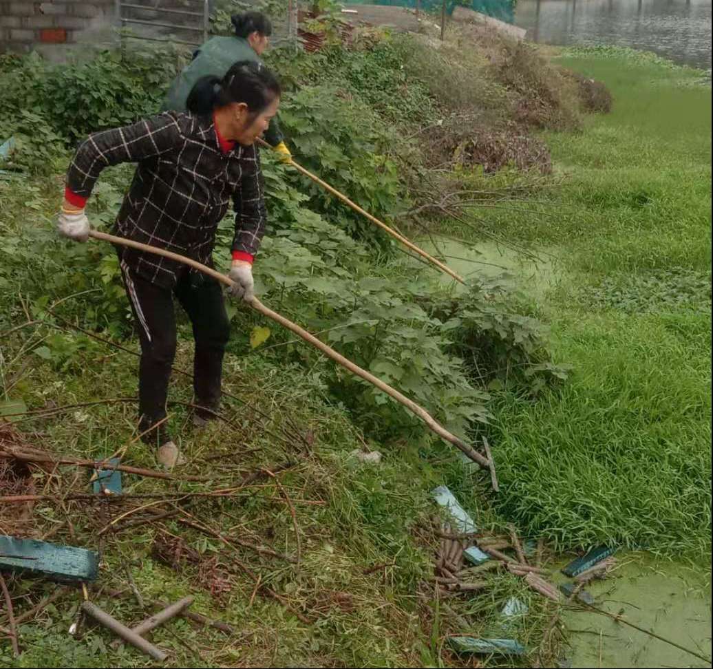澳门新葡新京在线