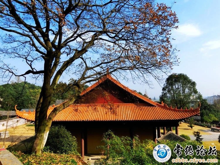 澳门新葡新京在线
