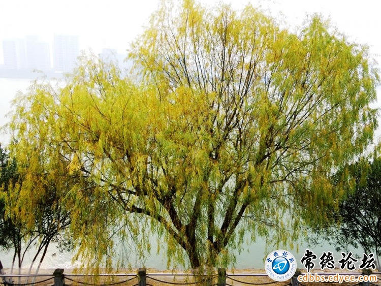 澳门新葡新京在线