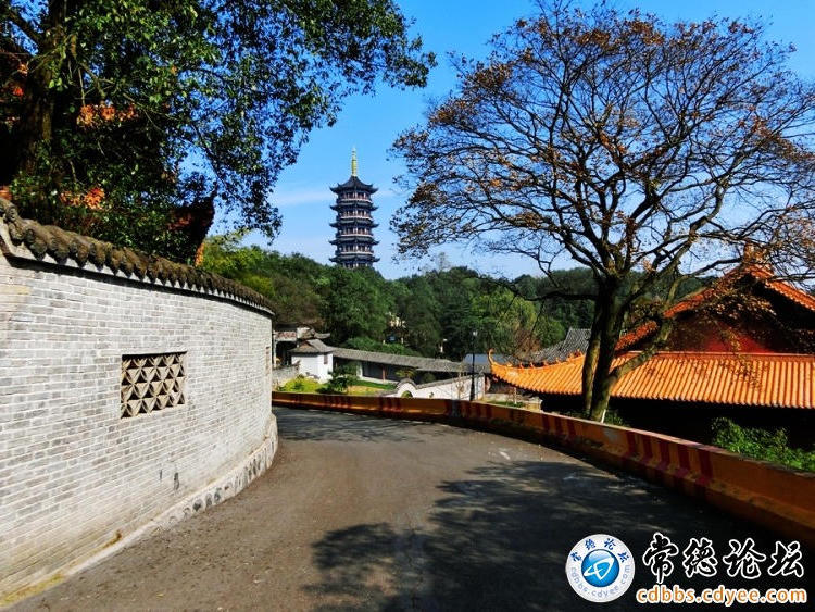 澳门新葡新京在线