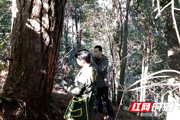 澳门新葡新京在线