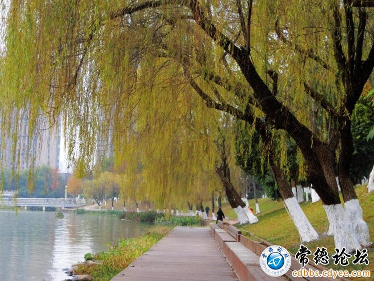 澳门新葡新京在线