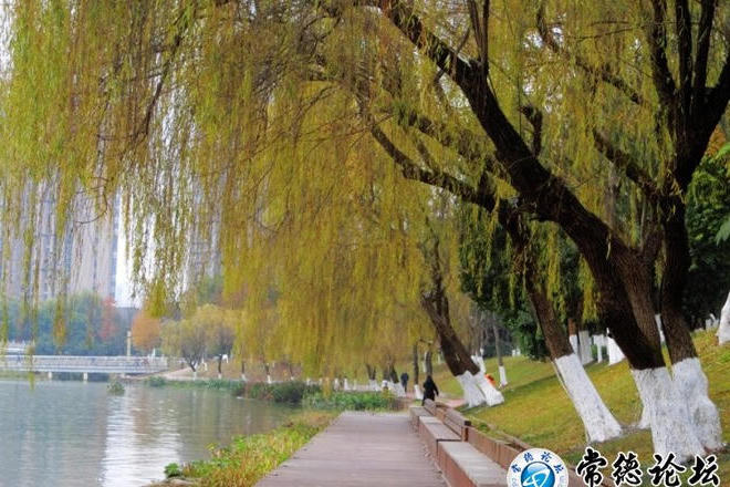 澳门新葡新京在线