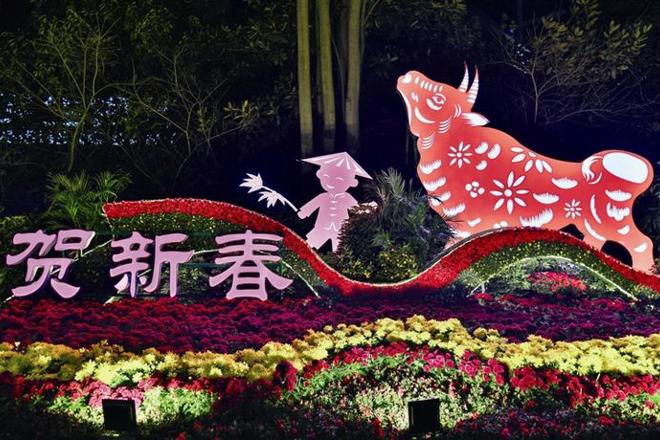 【社会】绿植花卉满街头 