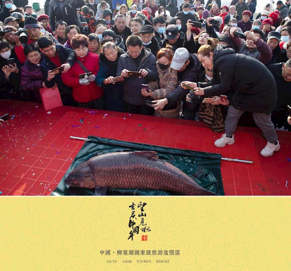澳门新葡新京在线