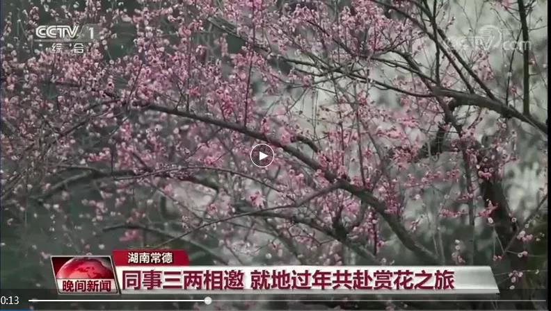 澳门新葡新京在线