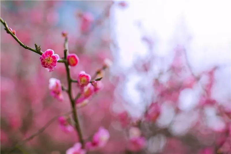 4c0ed4bda91a468992123b8e9a1e20b4.jpg 澳门新葡新京在线