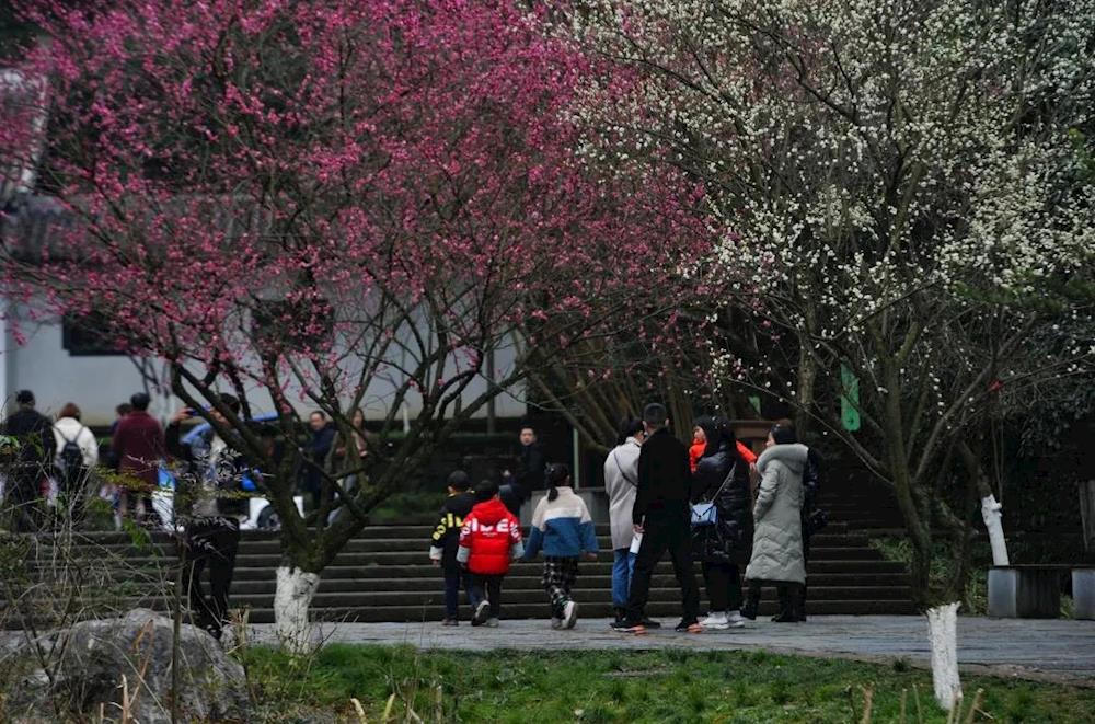 b9506f2a8f2646d29a597a191171f7ba.jpg 澳门新葡新京在线