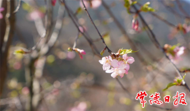 澳门新葡新京在线