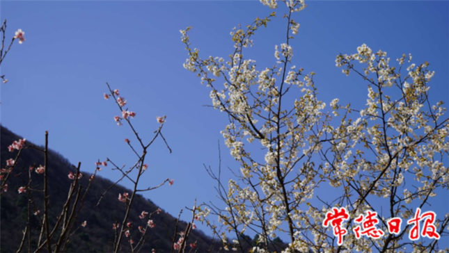 澳门新葡新京在线