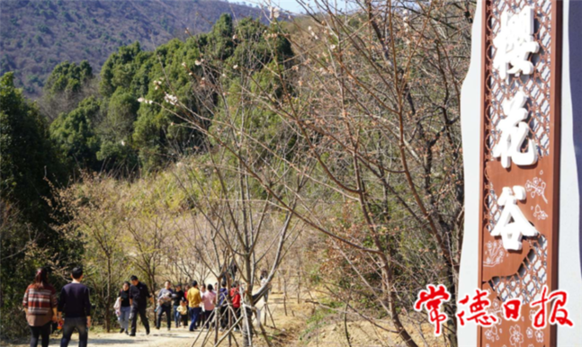 澳门新葡新京在线