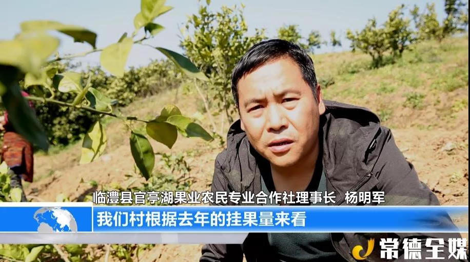 澳门新葡新京在线