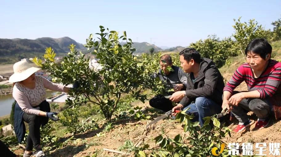 澳门新葡新京在线