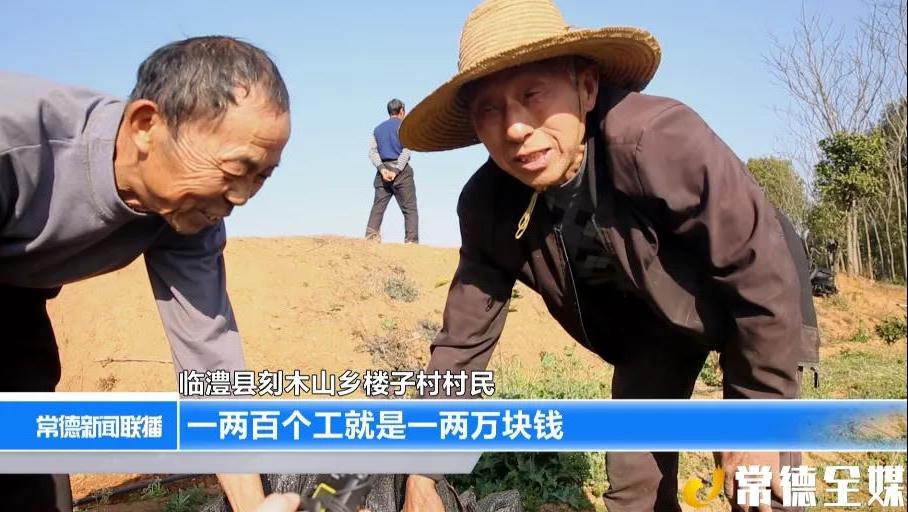 澳门新葡新京在线