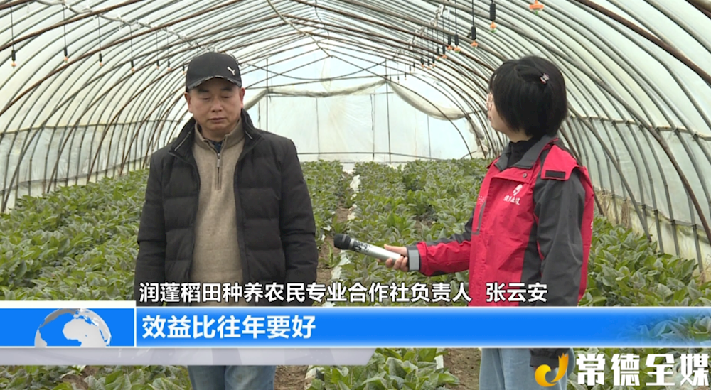 澳门新葡新京在线