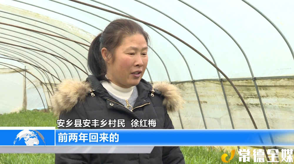 澳门新葡新京在线
