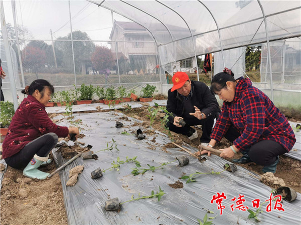 微信图片_20210305184008.jpg