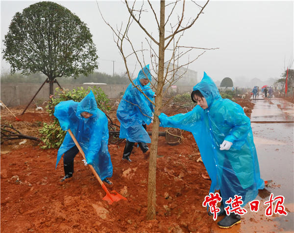澳门新葡新京在线
