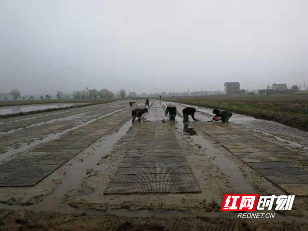 澳门新葡新京在线