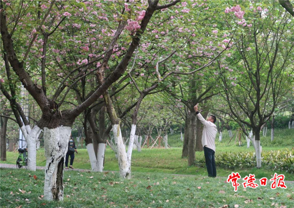 澳门新葡新京在线