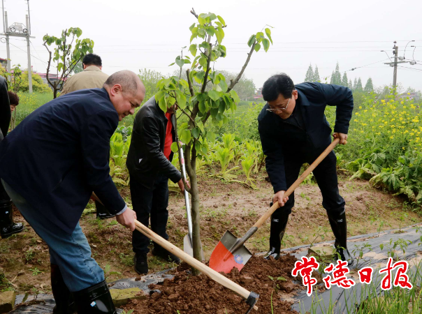 澳门新葡新京在线