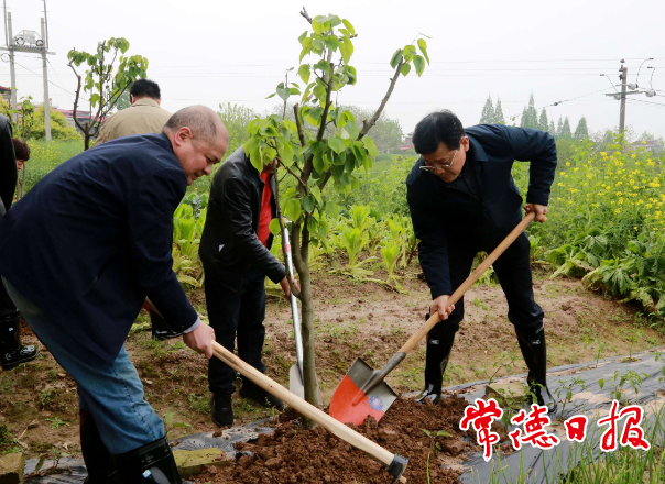 澳门新葡新京在线