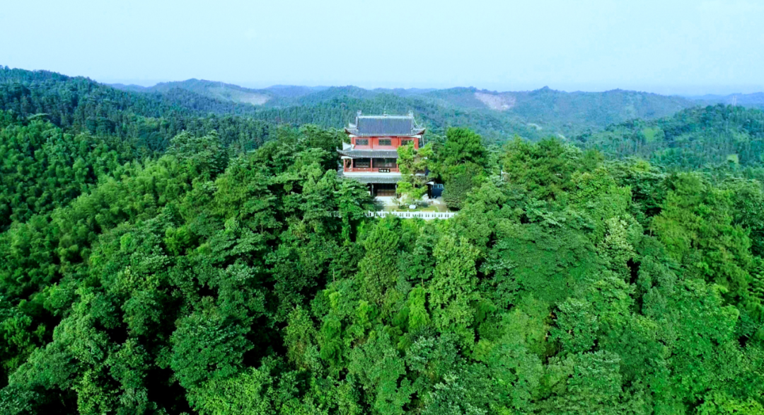 澳门新葡新京在线