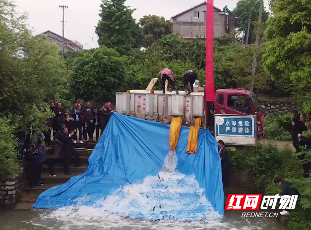 澳门新葡新京在线