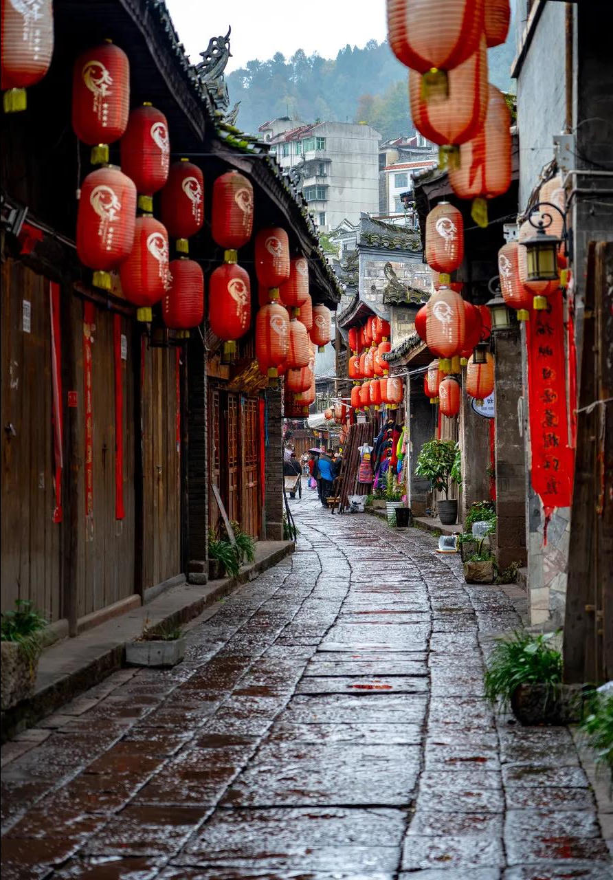 澳门新葡新京在线