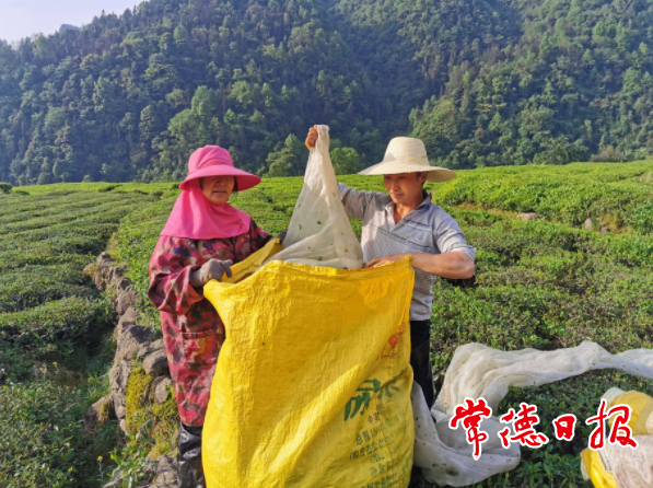 澳门新葡新京在线