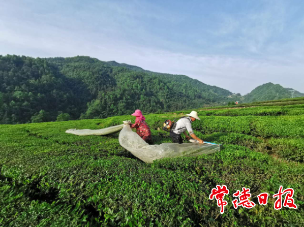 澳门新葡新京在线