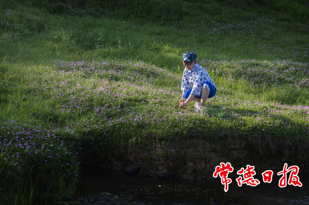 澳门新葡新京在线