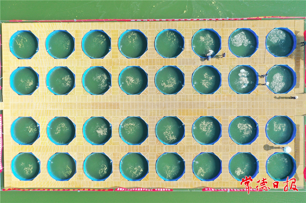 柏依朴-致富棋盘-2-1.jpg