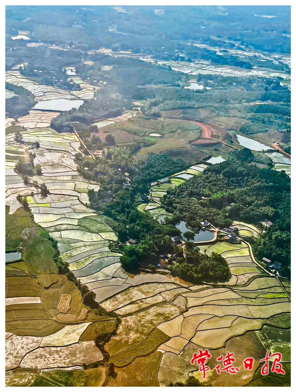 sj黄怡-五彩梯田-3-1.jpg