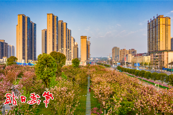澳门新葡新京在线