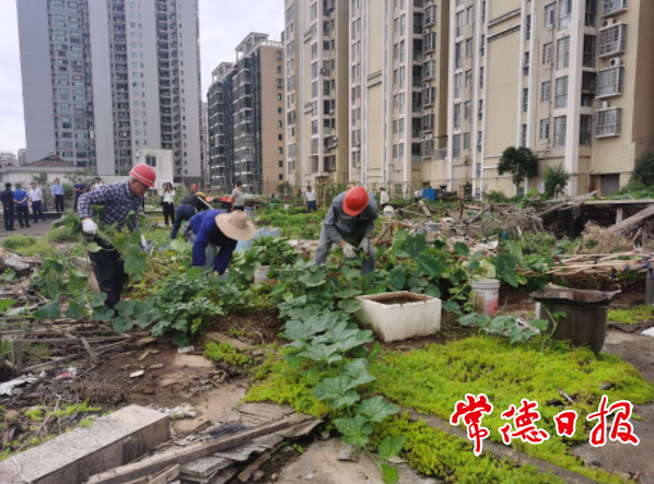 澳门新葡新京在线