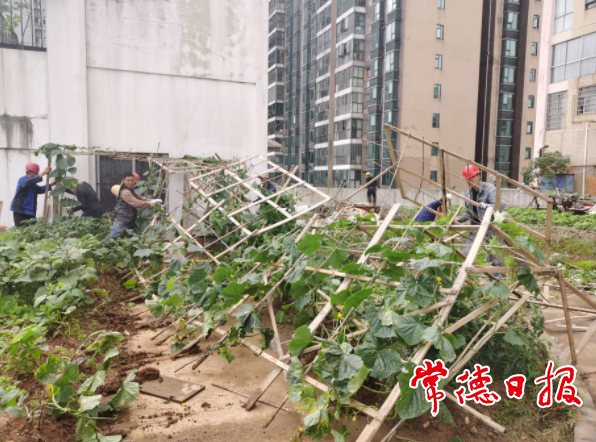 澳门新葡新京在线