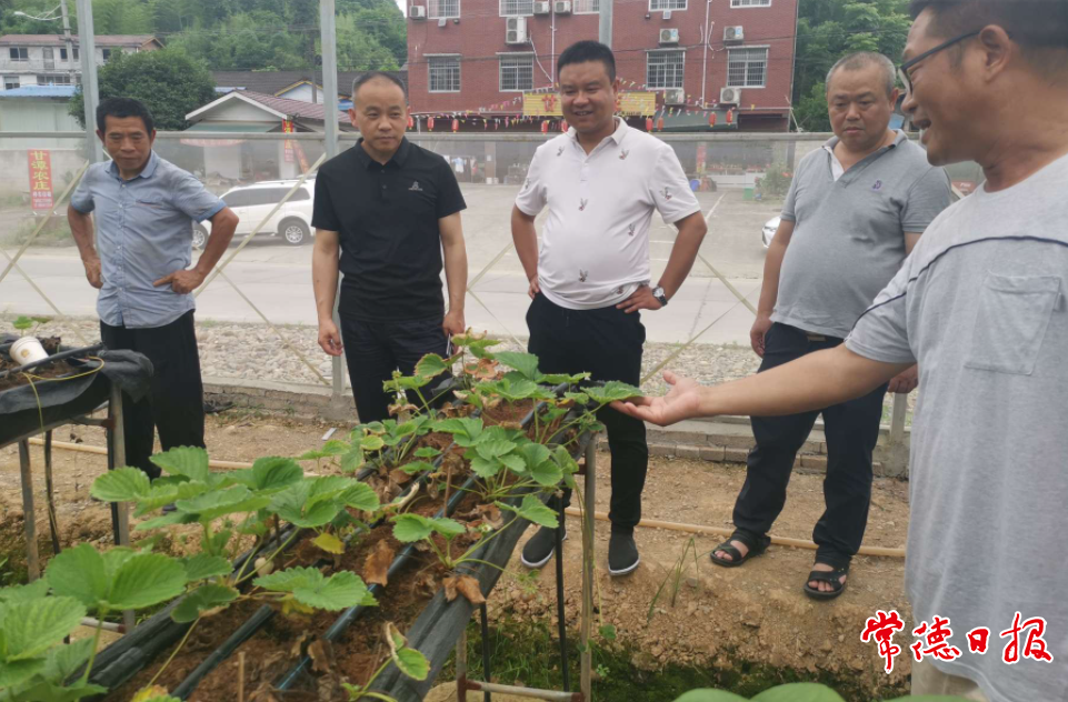 澳门新葡新京在线