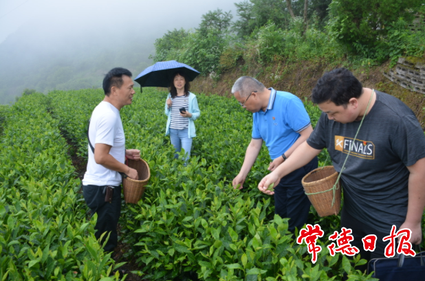 澳门新葡新京在线