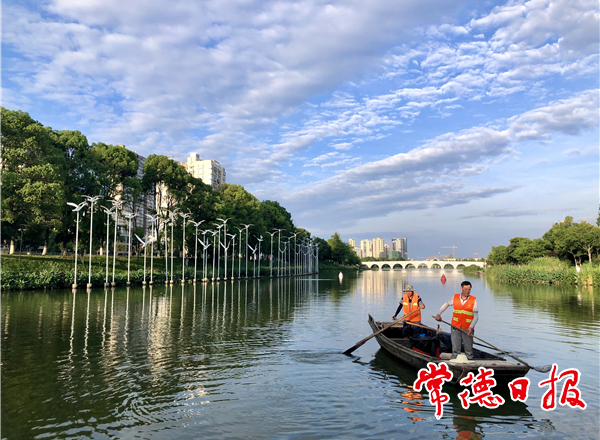 穿紫河美容师