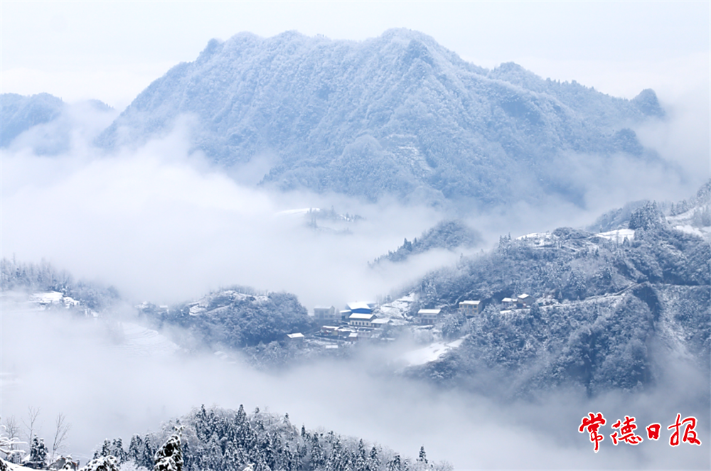 澳门新葡新京在线