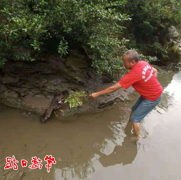 澳门新葡新京在线