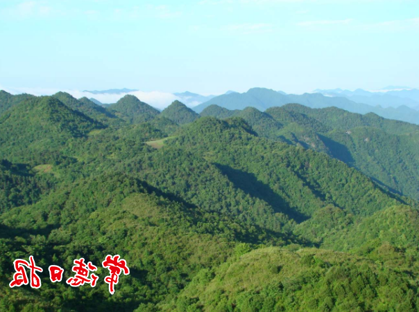 澳门新葡新京在线