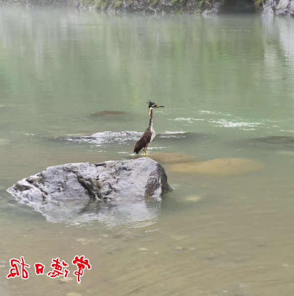 澳门新葡新京在线